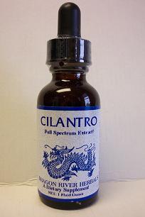 CILANTRO - 1 oz