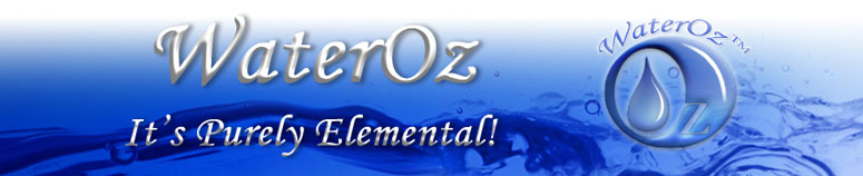 SILVER IONIC LIQUID- 2 fluid oz